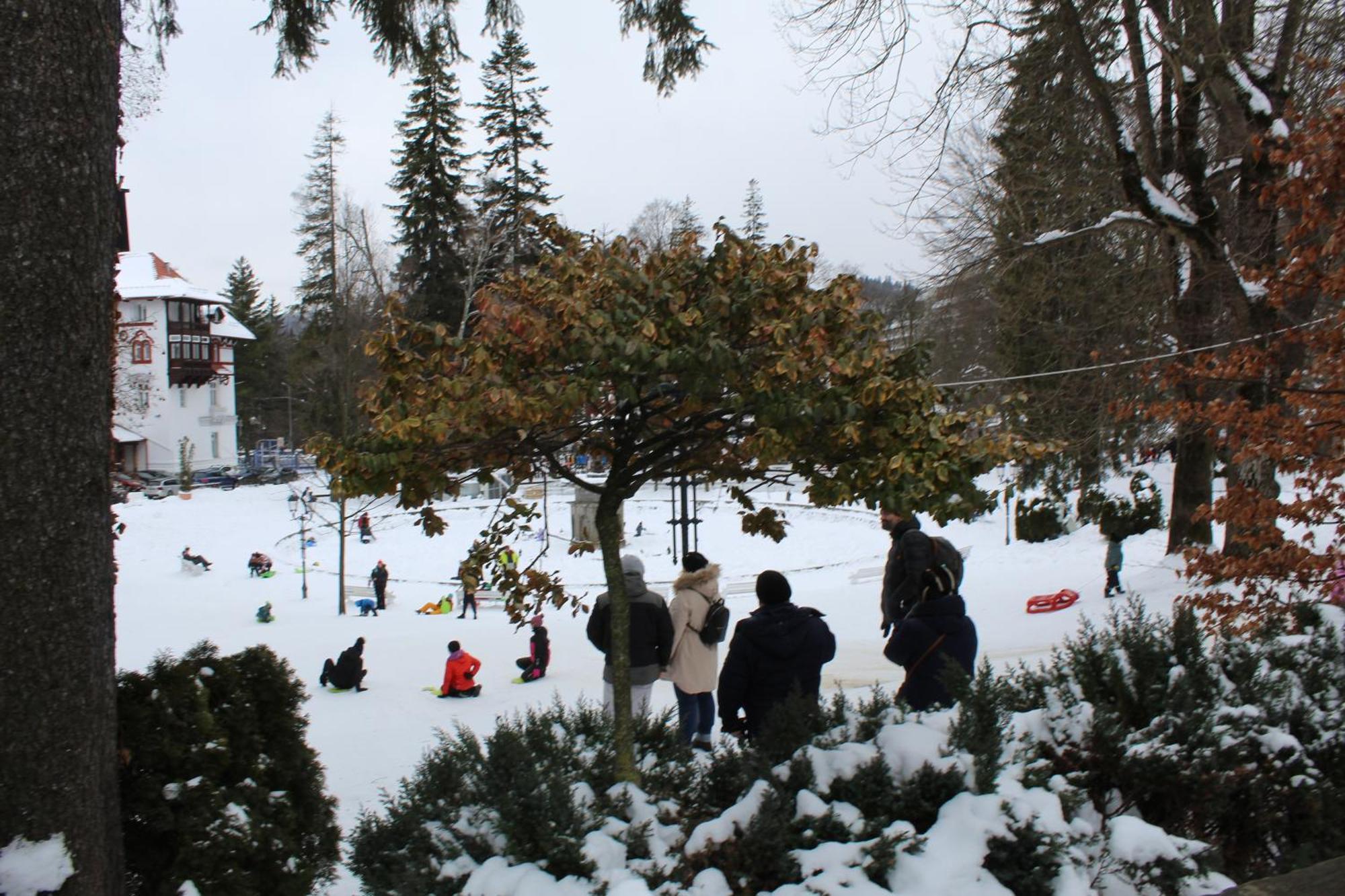 Central Park View Sinaia Exterior photo
